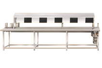 Visual Inspection Conveyors